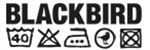 Blackbird Coupon Codes & Deals