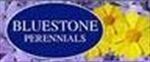 Bluestone Perennials coupon codes