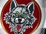 Chicago Wolves Store coupon codes