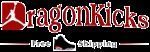 DragonKicks coupon codes