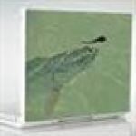 Fly Fishing Coupon Codes & Deals