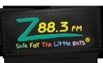 Positive Hits - Z88.3 Radio - Orlando, Florida coupon codes